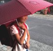 画像11: ギンガムチェック　子ども用開閉かんたん折りたたみ傘 (11)
