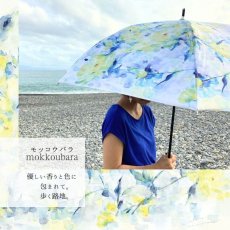 画像9: Ayano Ichiyanagi雨晴兼用傘 (9)