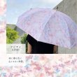 画像10: AyanoIchiyanagi雨晴兼用傘 (10)