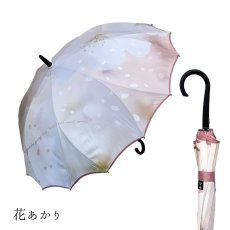 画像30:   絵画のような傘 damonde  サクラ骨 シームレス 60cm  (30)