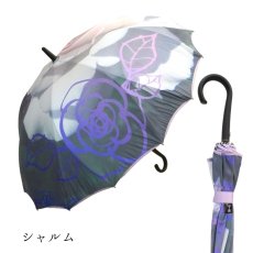 画像18:   絵画のような傘 damonde  サクラ骨 シームレス 60cm  (18)