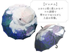 画像9:   絵画のような傘 damonde  サクラ骨 シームレス 60cm  (9)