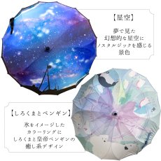 画像10:   絵画のような傘 damonde  サクラ骨 シームレス 60cm  (10)