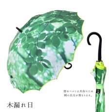 画像29:   絵画のような傘 damonde  サクラ骨 シームレス 60cm  (29)