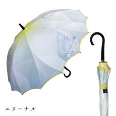 画像32:   絵画のような傘 damonde  サクラ骨 シームレス 60cm  (32)