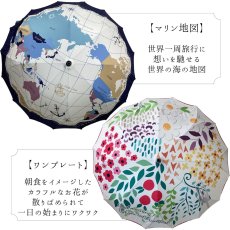 画像14:   絵画のような傘 damonde  サクラ骨 シームレス 60cm  (14)
