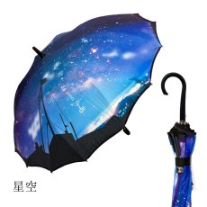画像19:   絵画のような傘 damonde  サクラ骨 シームレス 60cm  (19)