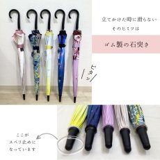 画像5:   絵画のような傘 damonde  サクラ骨 シームレス 60cm  (5)