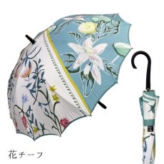 画像31:   絵画のような傘 damonde  サクラ骨 シームレス 60cm  (31)