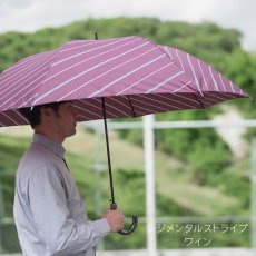 画像3: メンズ　長傘　耐風骨　70cm (3)