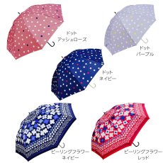 画像3: レディース  耐風骨 (3)