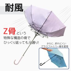 画像8: レディース  耐風骨 (8)