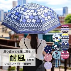 画像1: レディース  耐風骨 (1)