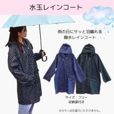 画像6: 【送料無料】傘の福袋 選べる レディース 5000 (6)