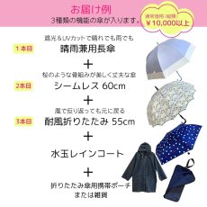 画像2: 【送料無料】傘の福袋 選べる レディース 5000 (2)